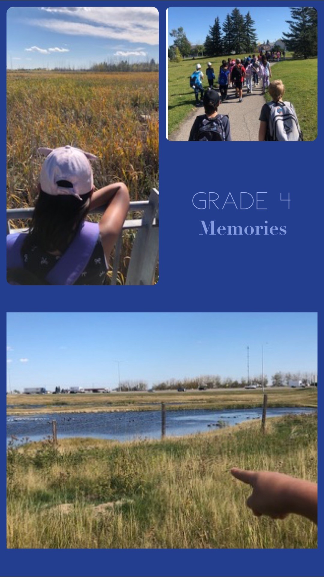 Wetlands