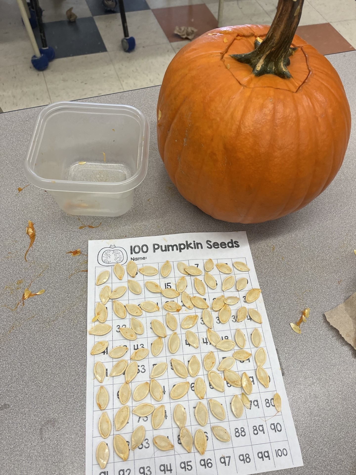 Pumpkin Grade 1
