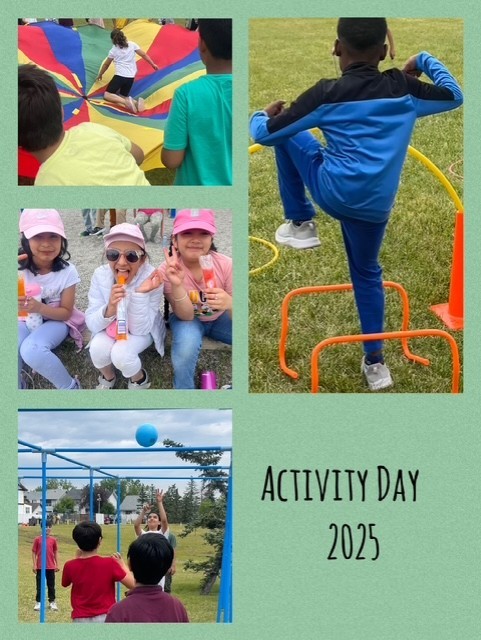 Activity Day 1
