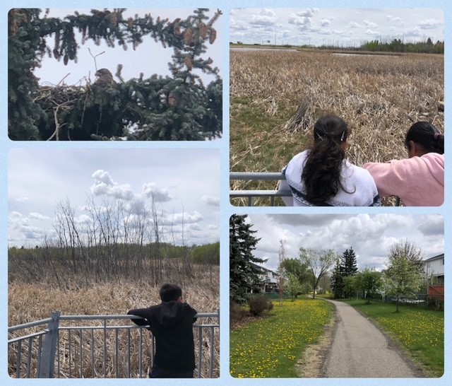 Wetlands Spring 2025