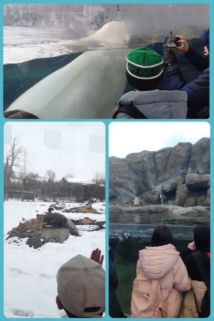 Zoo Grade 5