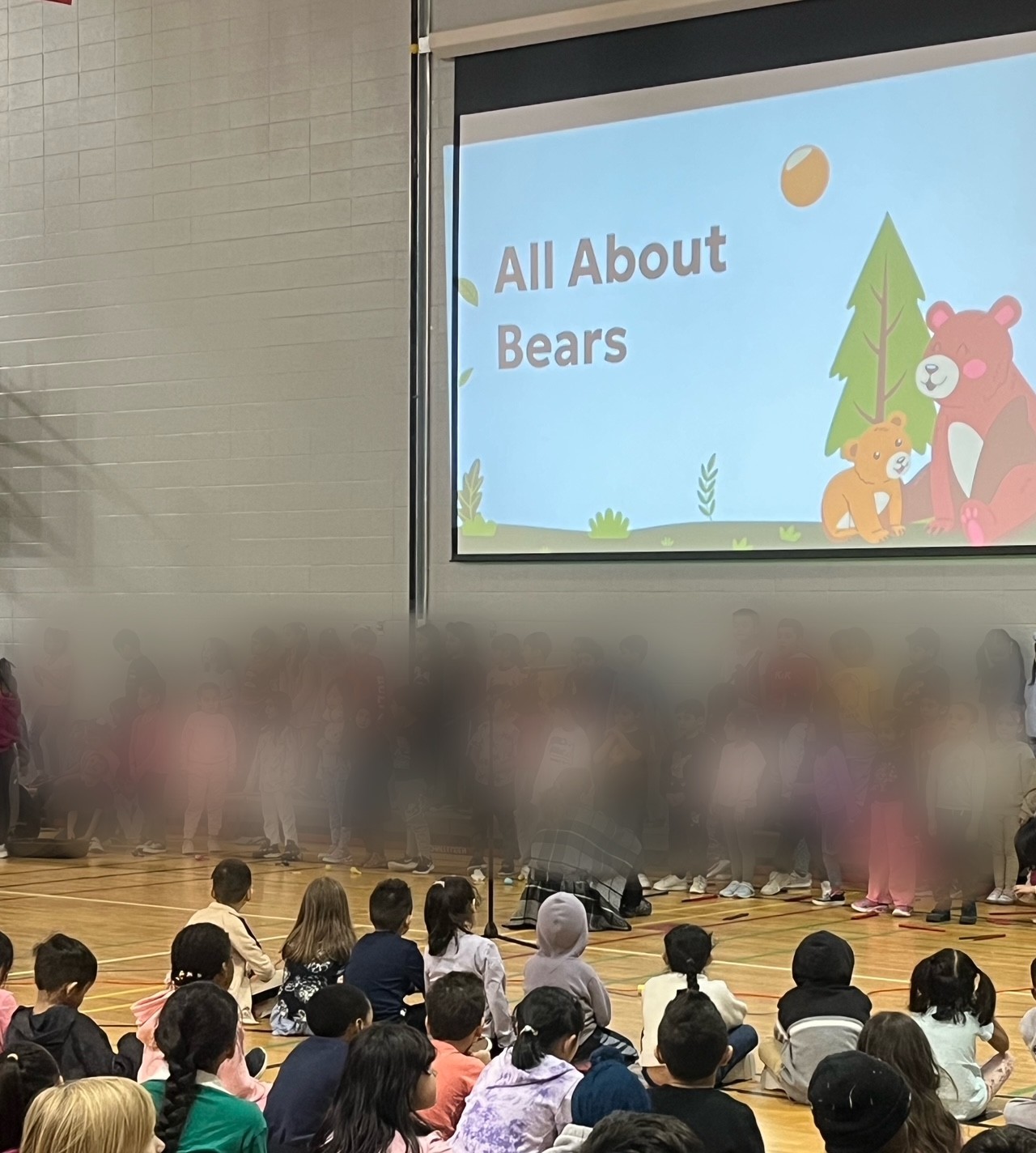 Bears, Grade 1