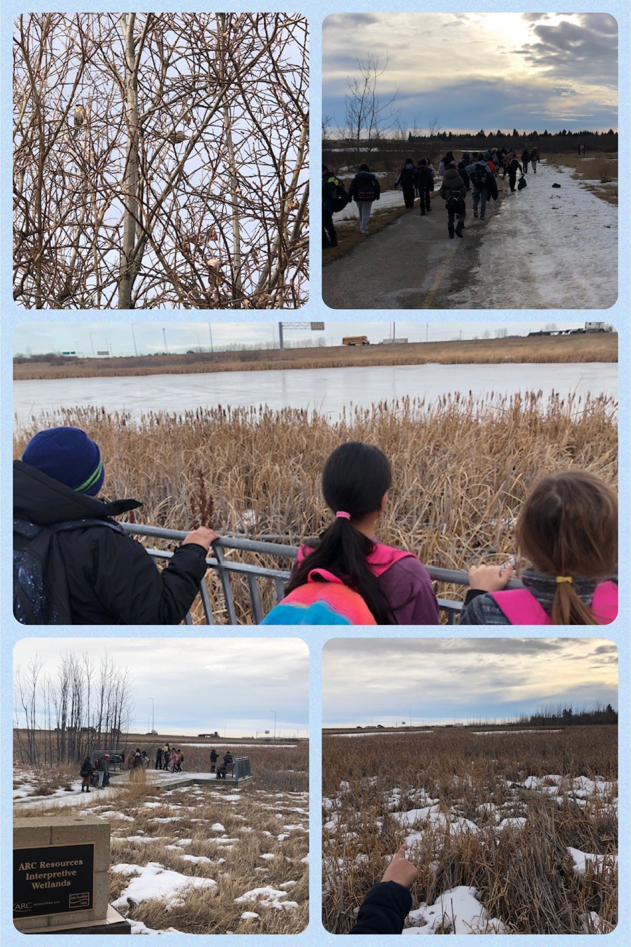 Winter Walk Grade 4