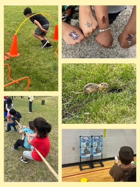 Activity Day 3
